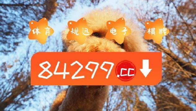 白小姐一肖一码中奖,完善系统评估_V93.632