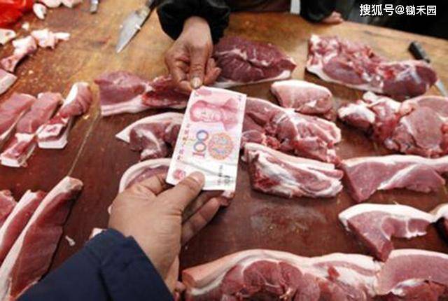 羽绒服涨价背后的秘密，揭秘与猪的关联故事