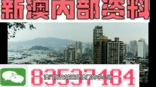 新澳门精准四肖期期中特公开,路径优化精准执行_领远版73.04.42