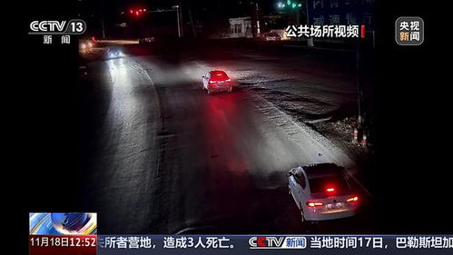 男子骗保撞树身亡事件，悲剧背后的反思与启示