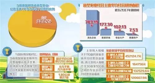 农村土地流转政策优化探索与实践