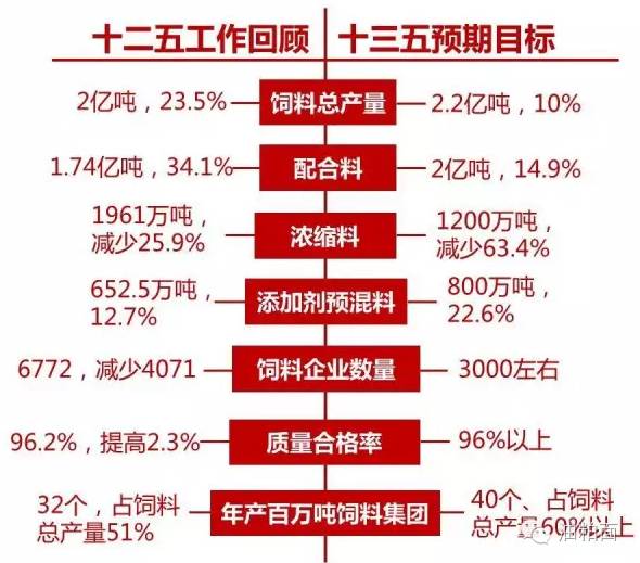 2024年天天彩免费资料，掌控未来财富的最佳指南