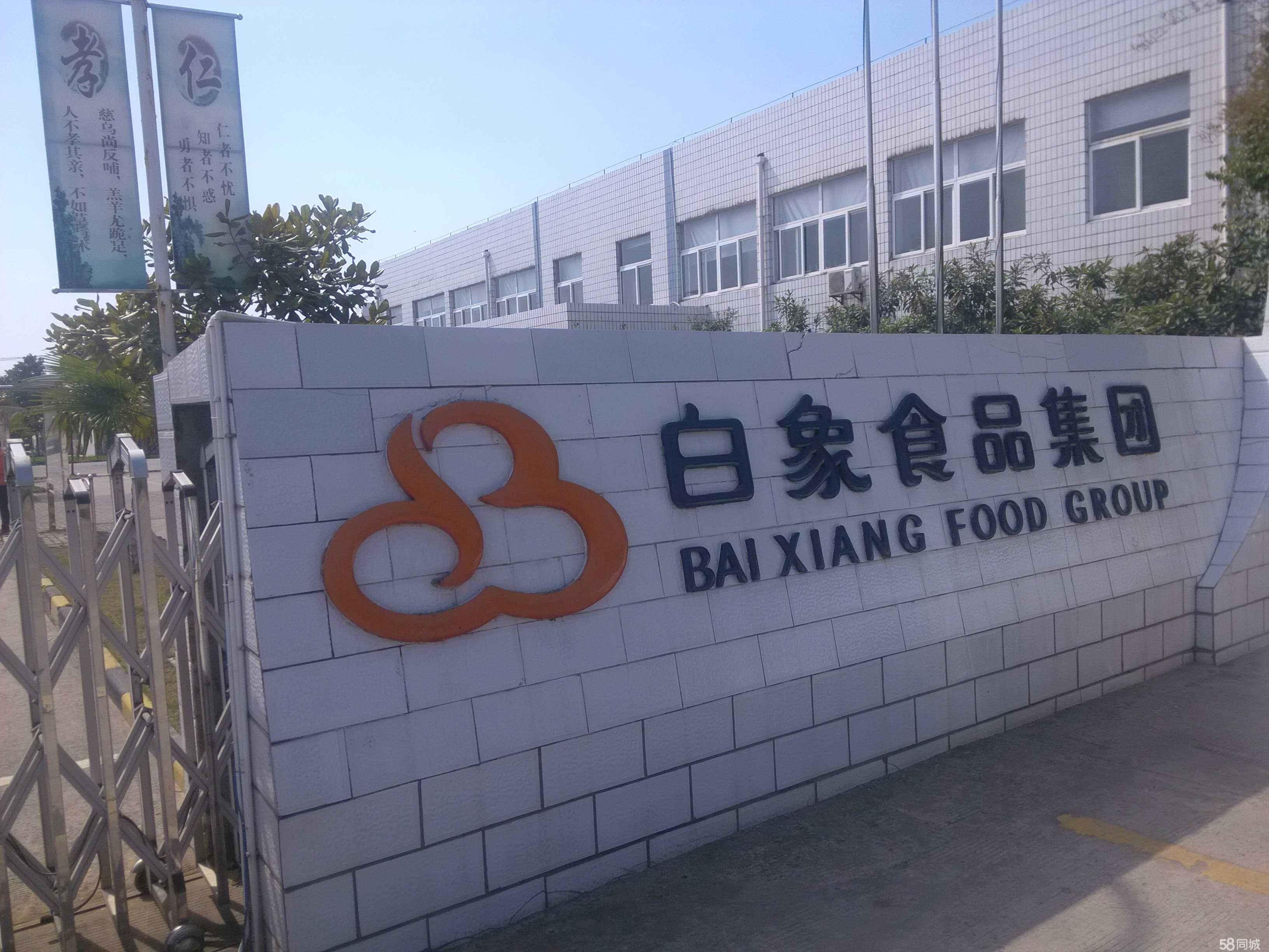 河南前首富公司股价飙升背后的故事与启示，揭秘飙升千倍背后的真相与启示