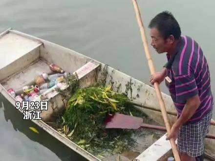 老人回应放生大米，生态与人文智慧之举——米坏了也成养鱼良选