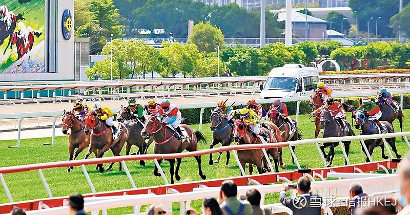 2024香港赛马全年免费资料,前沿评估解析_顶级款16.339