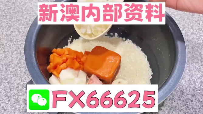 2024新奥正版资料免费大全，全方位探索与获取秘籍