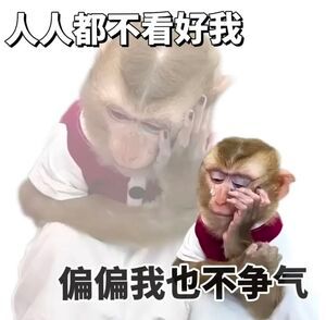 张家界游客与猴子互殴事件，反思与启示