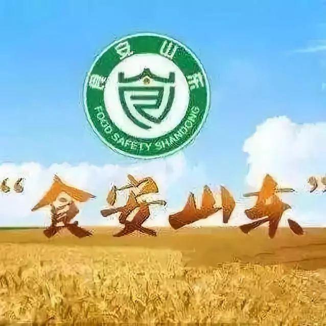 企业社会责任转化为品牌价值的策略探讨