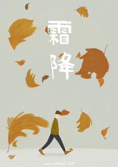 动态学习与知识更新的融合之道