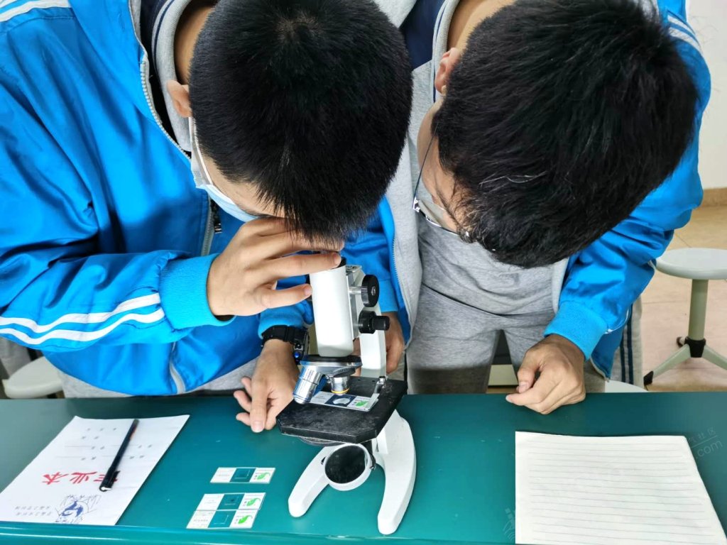 科学实验，训练学生观察力和思维能力的关键途径