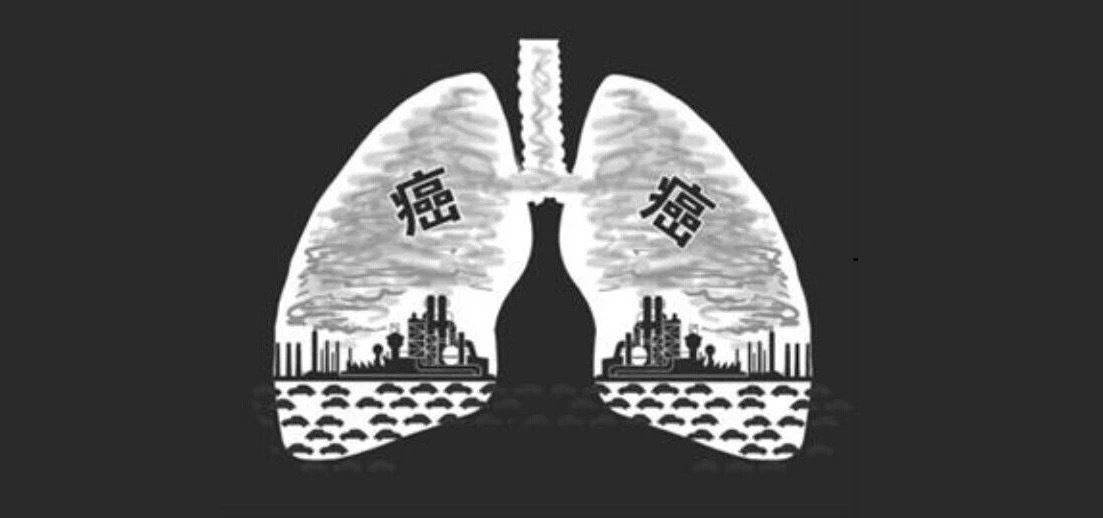 禁烟与降低肺癌风险的紧密关联