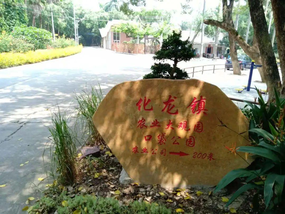 定期休息对保持心理活力的关键作用探讨