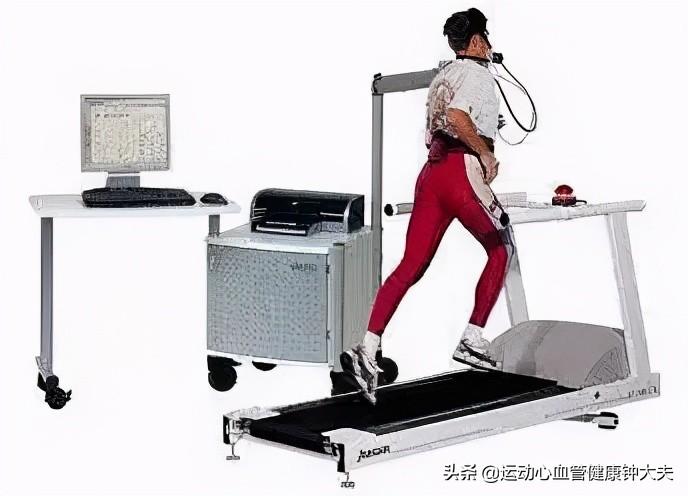 每日蛋白质定量摄入对肌肉维持的关键作用