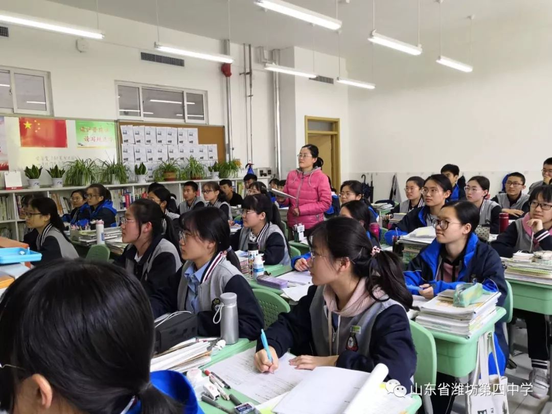 学生自主学习与教师支持的互动，构建高效学习环境的双重驱动力