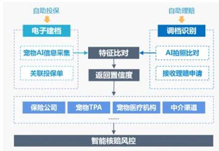 保险行业数字化改革与理赔程序简化研究