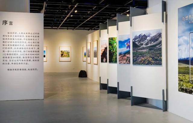 年度摄影大赛佳作集萃，影像的力量与美学魅力探索展