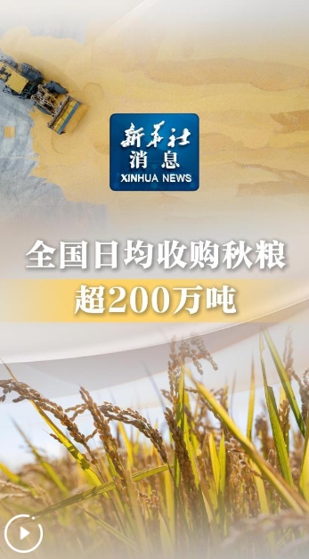 全国秋粮收购超200万吨，粮食市场保持稳定繁荣态势
