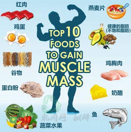 食疗食谱助力肌肉力量提升