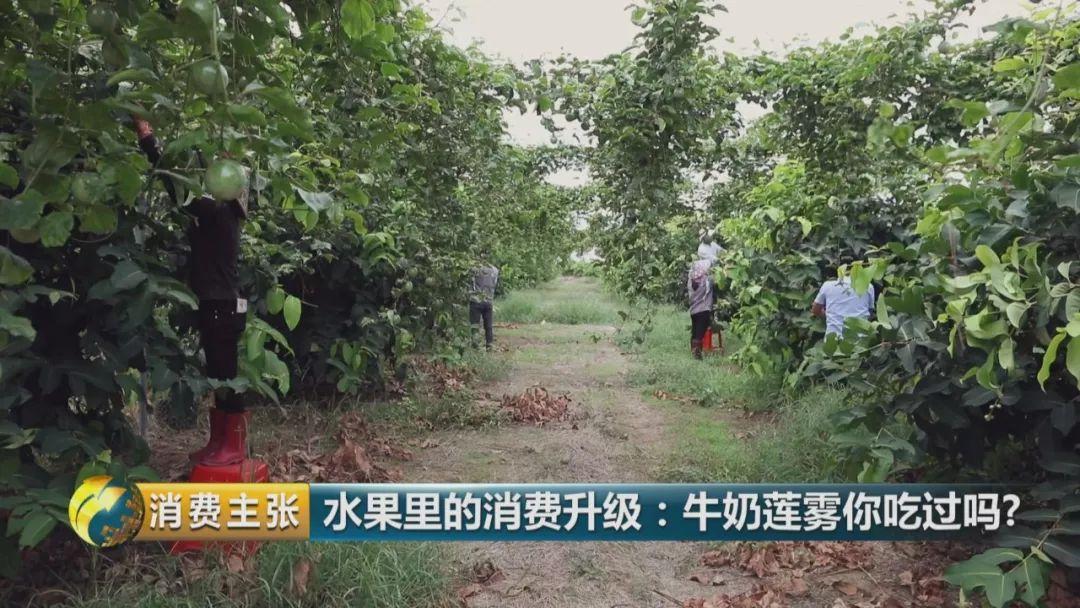 食疗指南，平衡体内酸碱度的秘诀