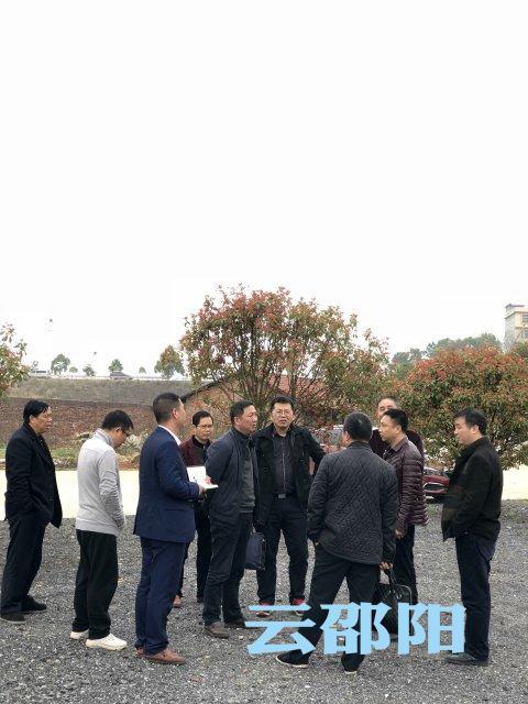 不同文化背景下的教育评估与标准探讨
