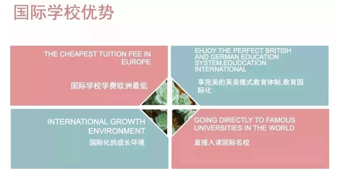 国际化教育背景下的文化认同与多元化探索