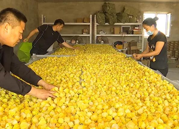 教育公平，助力贫困地区驶入发展快车道
