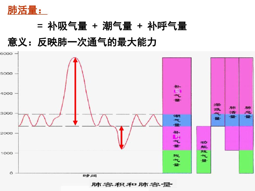 空气质量与呼吸系统健康紧密相关