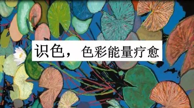 情绪波动对身体的潜在影响研究揭秘