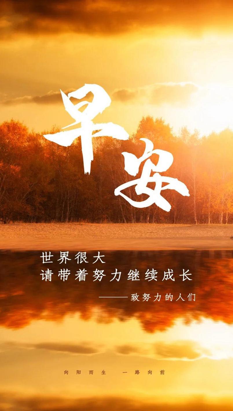 清晨阳光，日常情绪的焕新之力