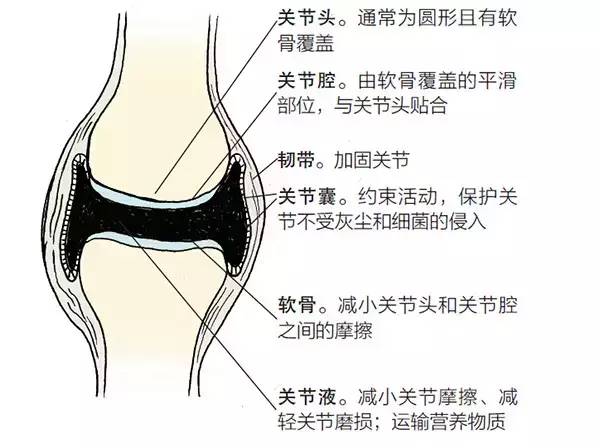 经常走动对关节的益处
