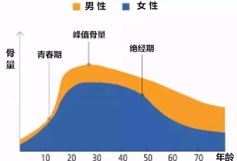 日常运动增强骨密度，健康骨骼打造秘诀