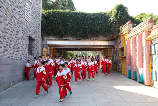 提高青少年心理健康教育专业化水平的重要性