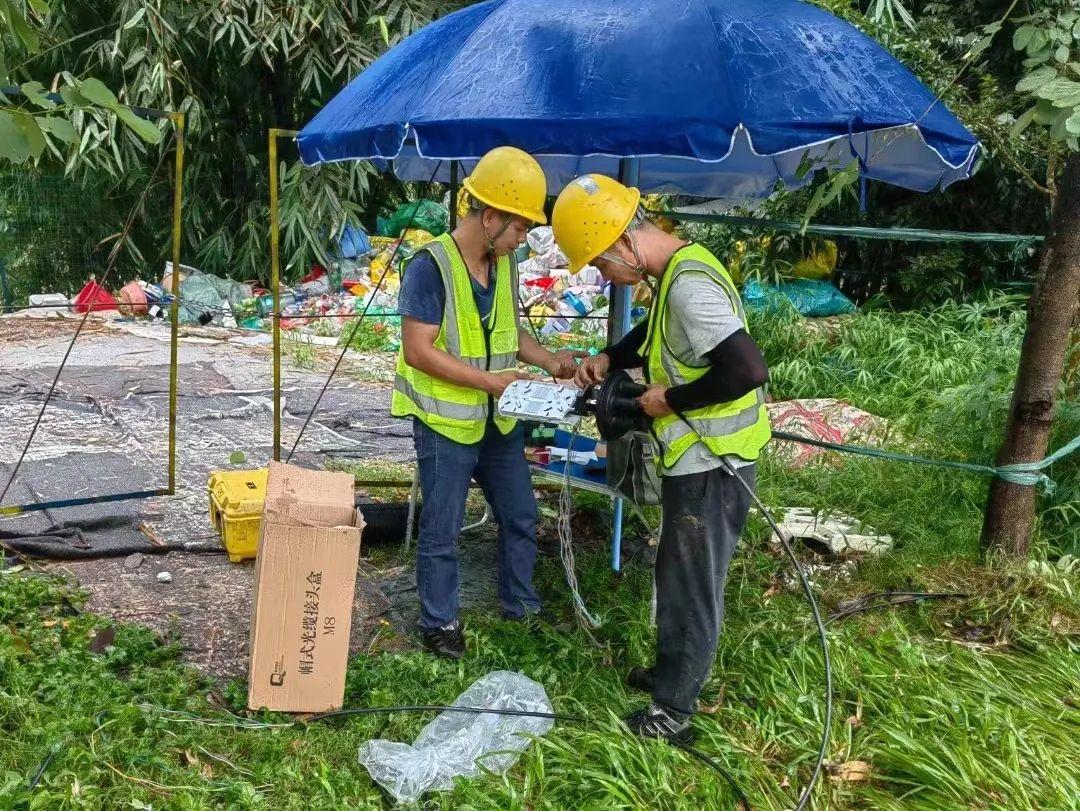 广东单位项目换电信背后的真相与影响探究