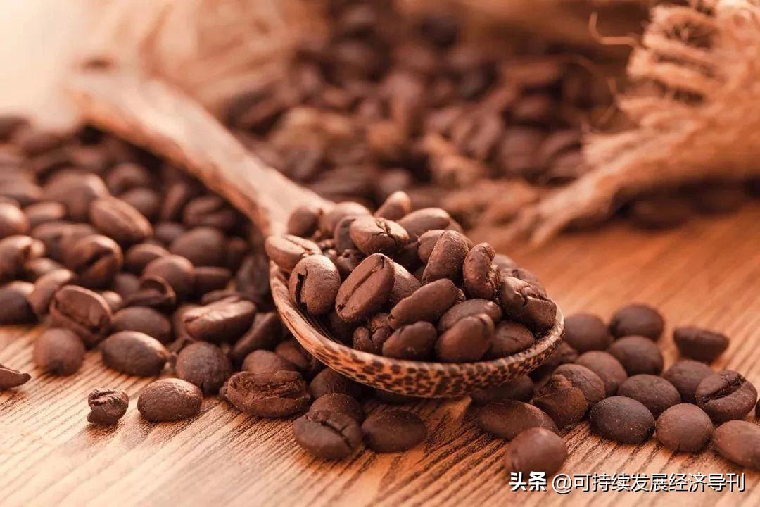 可持续发展与企业社会责任，共生共荣的紧密纽带