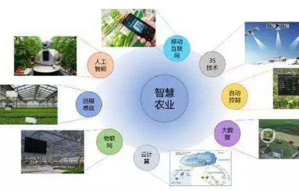 物联网技术助力智慧农业腾飞，推动农业现代化进程的新引擎