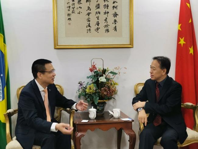 巴西桥梁坍塌事故引发反思与启示，四死十三失踪的悲剧警示世人