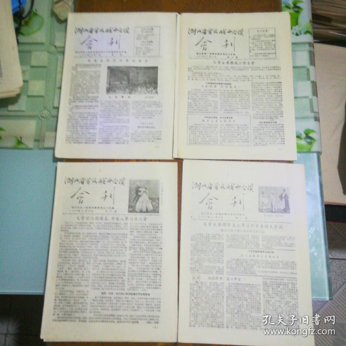 摩洛哥修订家庭法，重塑社会价值观与性别平等的里程碑