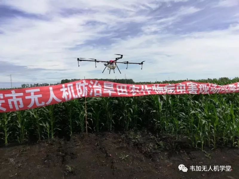 无人机技术在农业领域的应用前景展望