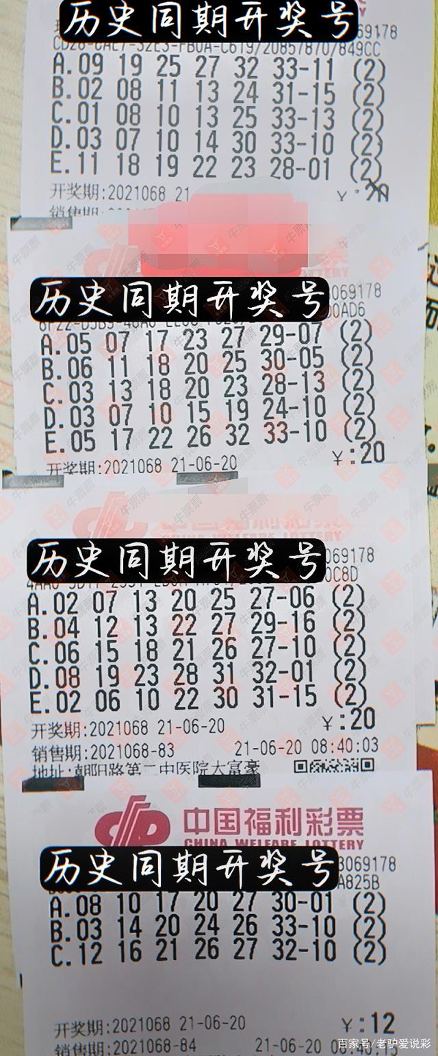 白小姐特马期期准六的神秘魅力与精准预测