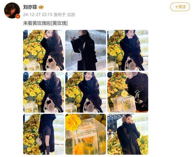 哈尔滨文旅热烈欢迎刘亦菲，冰城邂逅仙女演员之旅