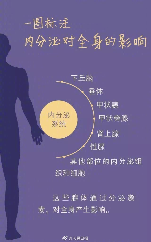 中医调节内分泌系统平衡的方法与策略