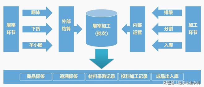 智能化技术赋能文化品牌创新发展的策略与路径