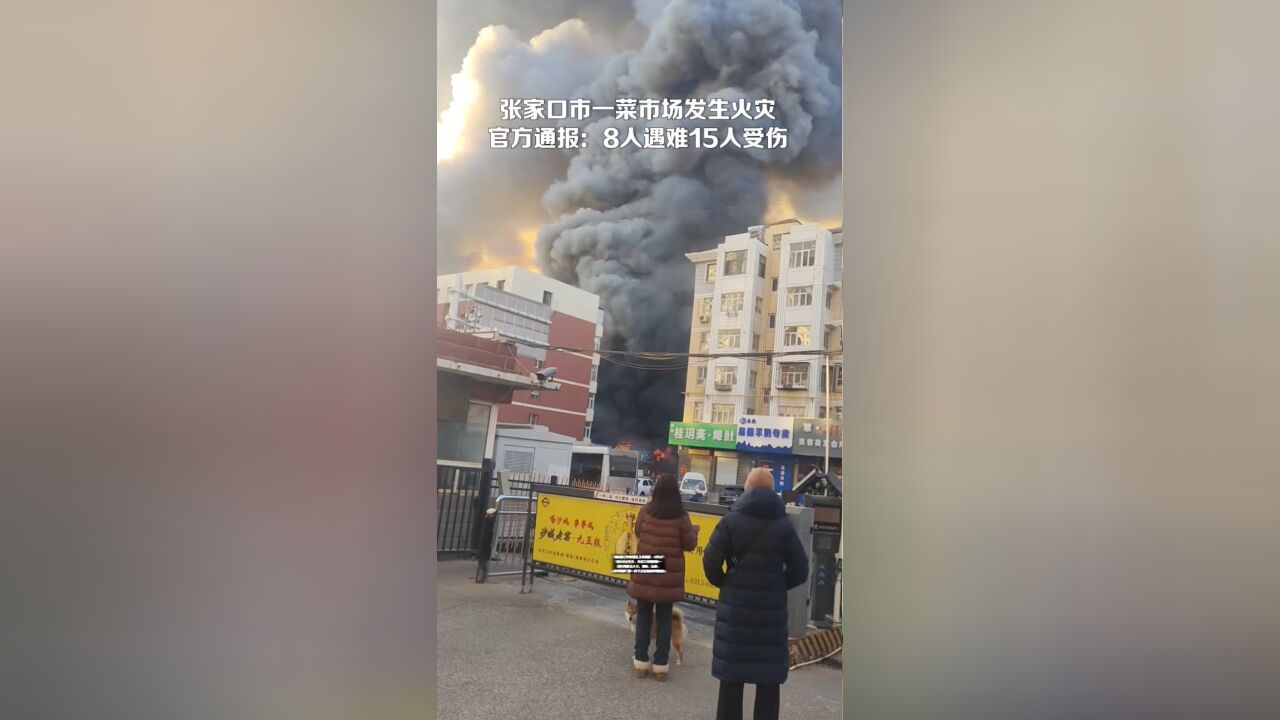 张家口菜市场火灾，灾难启示与警钟长鸣