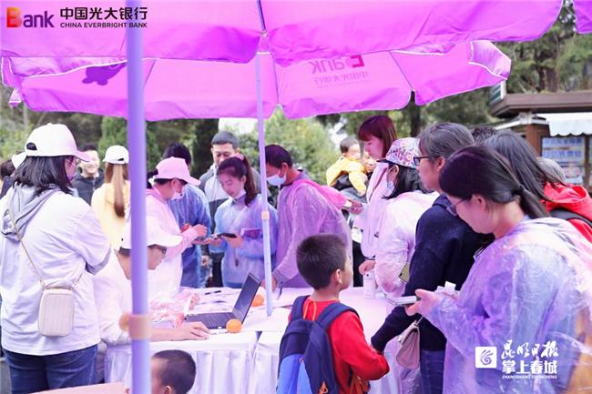 全球绿色债券增长，低碳项目迎来资本支持新机遇