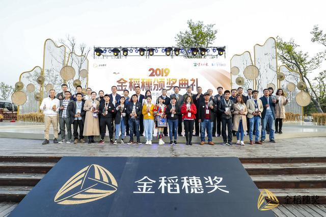 数字艺术突破空间限制，为创作者开启全新创作机遇