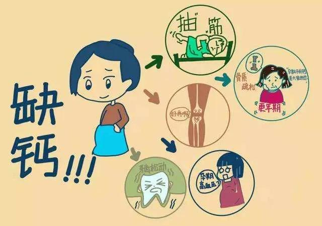 中医视角下的肠道清理与健康排毒之道