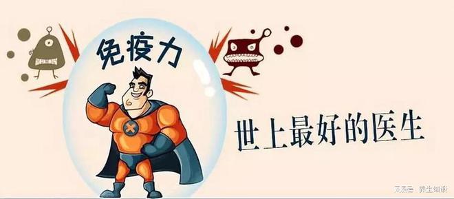 实现健康工作与生活的平衡，探索和谐共生之道