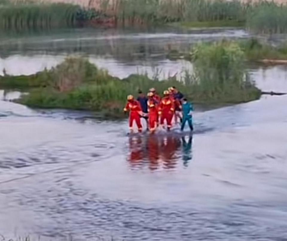 河南湿地公园孩童溺亡事件，悲剧背后的警示与反思