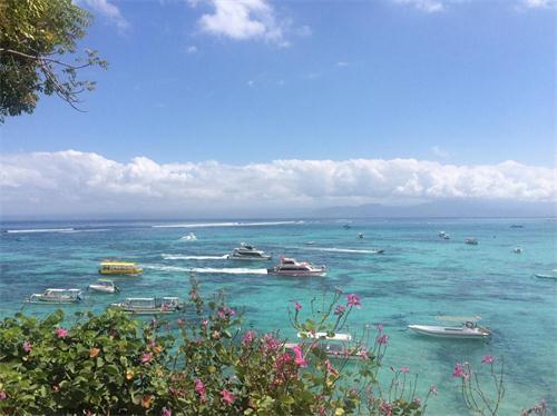 旅行中应对环境污染的有效策略